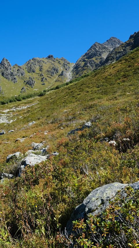 Download wallpaper 2160x3840 mountains, piedmont, grass, nature, landscape samsung galaxy s4, s5, note, sony xperia z, z1, z2, z3, htc one, lenovo vibe hd background