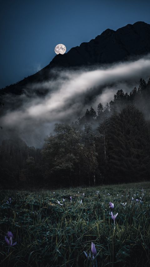 Download wallpaper 2160x3840 mountains, trees, fog, moon, night, landscape samsung galaxy s4, s5, note, sony xperia z, z1, z2, z3, htc one, lenovo vibe hd background