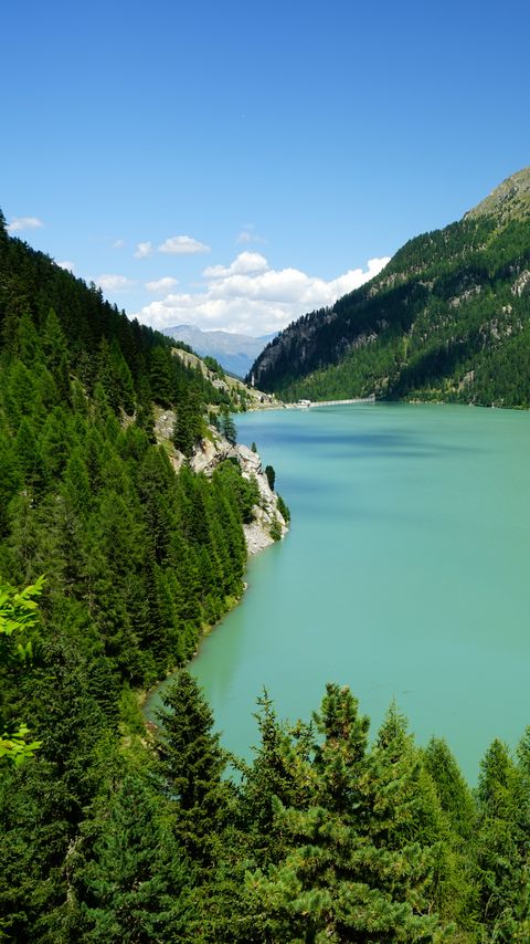 Download wallpaper 2160x3840 mountains, trees, forest, lake, landscape, aerial view samsung galaxy s4, s5, note, sony xperia z, z1, z2, z3, htc one, lenovo vibe hd background