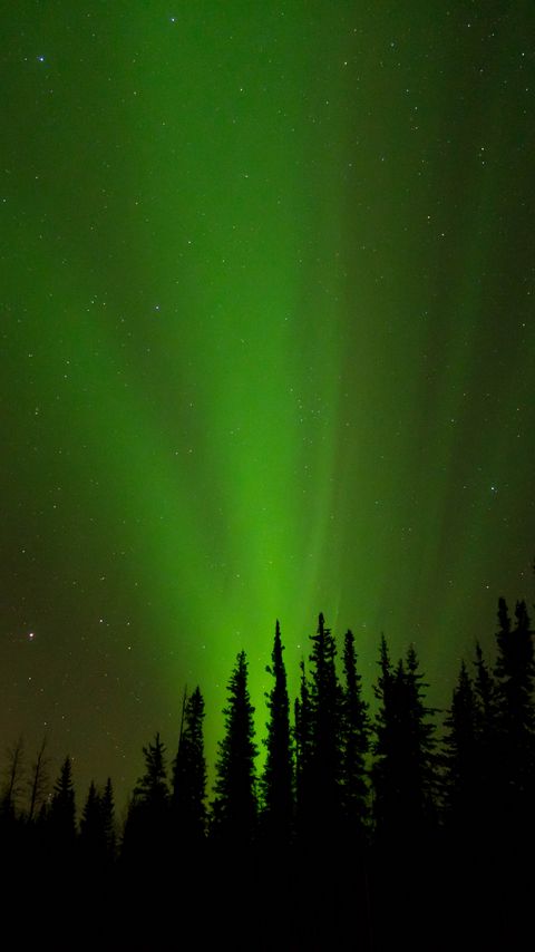 Download wallpaper 2160x3840 northern lights, glow, trees, silhouettes, green, dark samsung galaxy s4, s5, note, sony xperia z, z1, z2, z3, htc one, lenovo vibe hd background