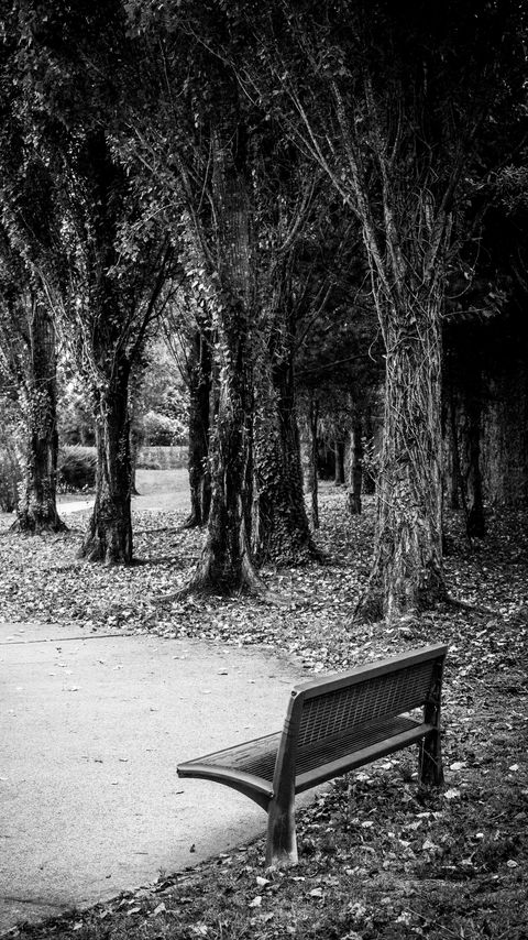 Download wallpaper 2160x3840 park, bench, leaves, autumn, black-and-white samsung galaxy s4, s5, note, sony xperia z, z1, z2, z3, htc one, lenovo vibe hd background