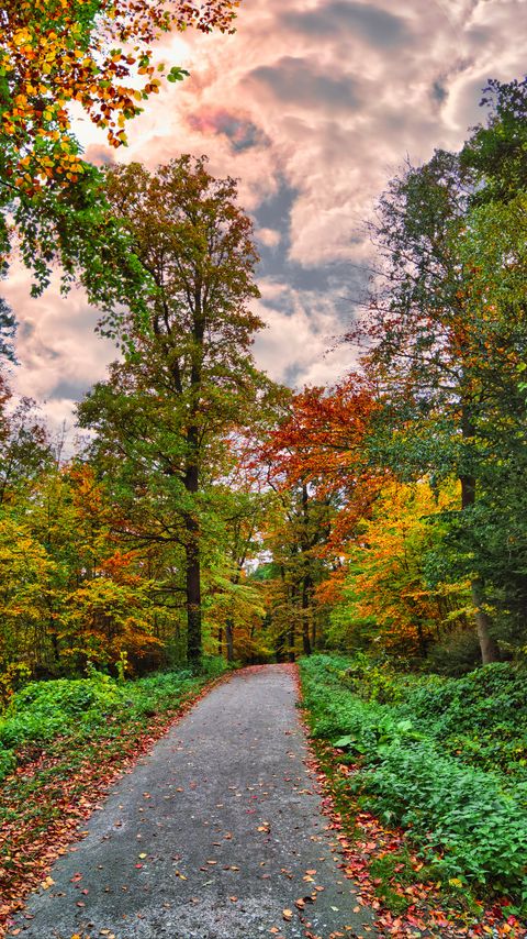 Download wallpaper 2160x3840 path, forest, trees, autumn, nature, bright samsung galaxy s4, s5, note, sony xperia z, z1, z2, z3, htc one, lenovo vibe hd background