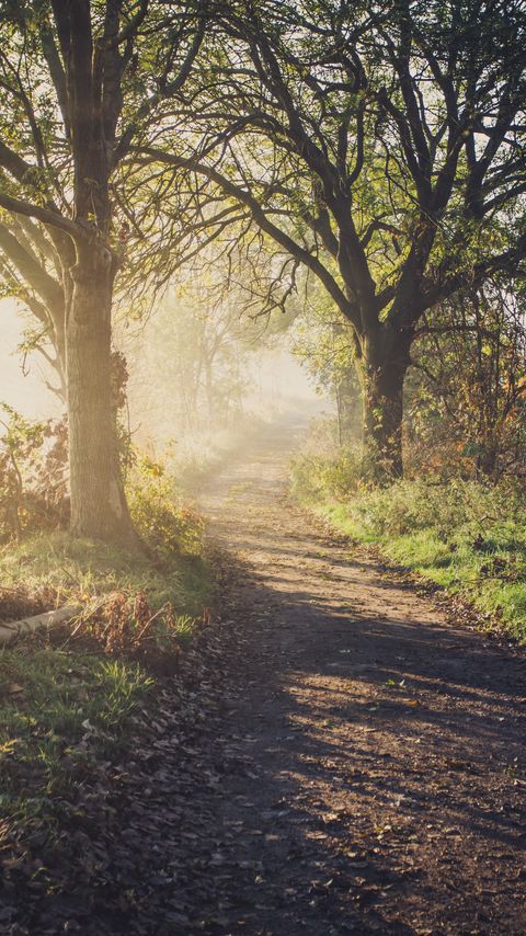 Download wallpaper 2160x3840 path, trees, fog, light, nature samsung galaxy s4, s5, note, sony xperia z, z1, z2, z3, htc one, lenovo vibe hd background