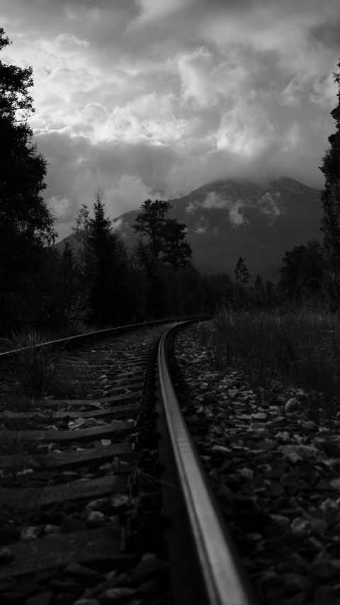 Download wallpaper 2160x3840 rails, turn, trees, mountains, landscape, black and white samsung galaxy s4, s5, note, sony xperia z, z1, z2, z3, htc one, lenovo vibe hd background