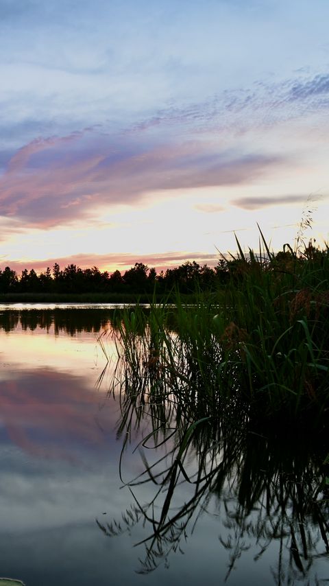 Download wallpaper 2160x3840 reeds, lake, twilight, landscape, nature samsung galaxy s4, s5, note, sony xperia z, z1, z2, z3, htc one, lenovo vibe hd background