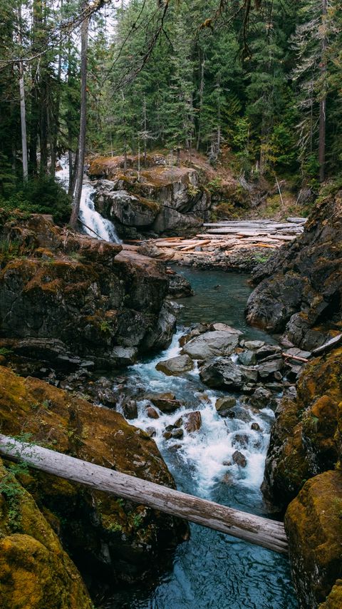 Download wallpaper 2160x3840 river, stones, rocks, trees, nature samsung galaxy s4, s5, note, sony xperia z, z1, z2, z3, htc one, lenovo vibe hd background