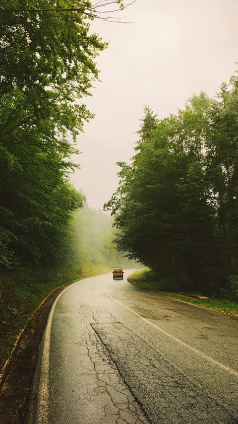 Download wallpaper 2160x3840 road, car, travel, forest, fog, nature samsung galaxy s4, s5, note, sony xperia z, z1, z2, z3, htc one, lenovo vibe hd background