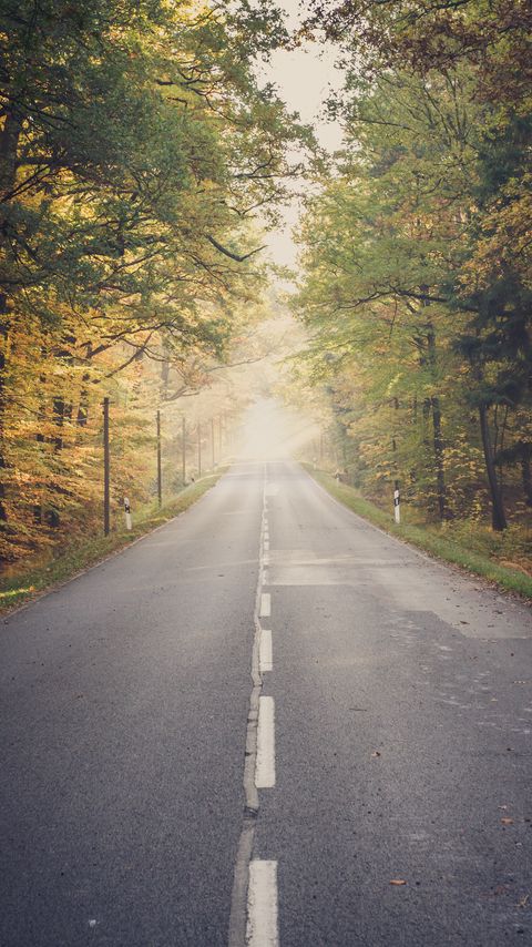 Download wallpaper 2160x3840 road, forest, trees, fog, autumn, landscape samsung galaxy s4, s5, note, sony xperia z, z1, z2, z3, htc one, lenovo vibe hd background