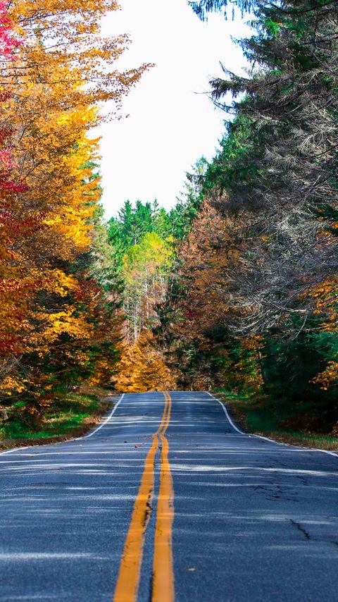 Download wallpaper 2160x3840 road, marking, forest, trees, autumn, nature, landscape samsung galaxy s4, s5, note, sony xperia z, z1, z2, z3, htc one, lenovo vibe hd background