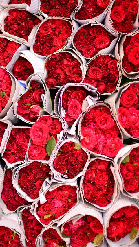 Download wallpaper 2160x3840 roses, flowers, bouquets, red samsung galaxy s4, s5, note, sony xperia z, z1, z2, z3, htc one, lenovo vibe hd background