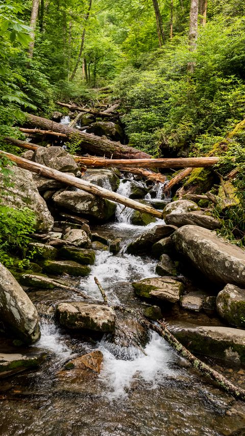 Download wallpaper 2160x3840 stream, water, logs, stones, nature samsung galaxy s4, s5, note, sony xperia z, z1, z2, z3, htc one, lenovo vibe hd background