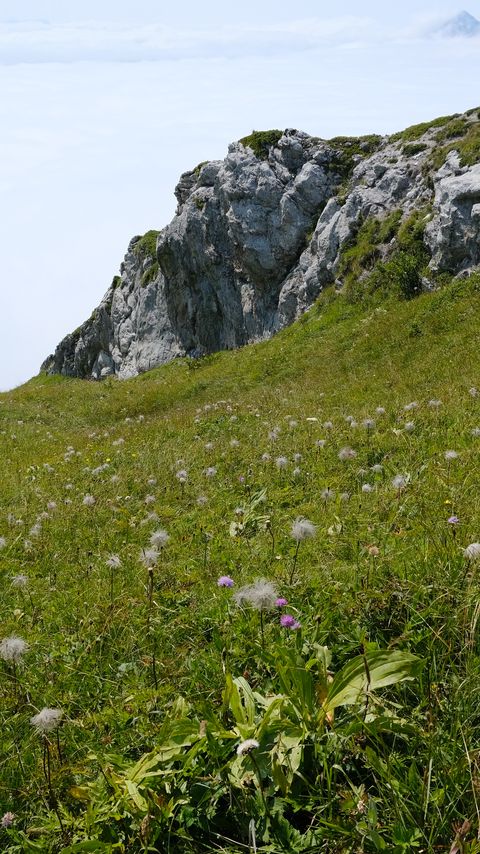 Download wallpaper 2160x3840 valley, greenery, rocks, landscape, nature samsung galaxy s4, s5, note, sony xperia z, z1, z2, z3, htc one, lenovo vibe hd background