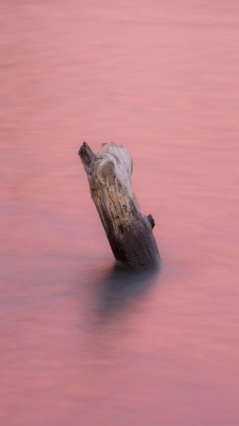 Download wallpaper 2160x3840 water, log, pink, minimalism, nature samsung galaxy s4, s5, note, sony xperia z, z1, z2, z3, htc one, lenovo vibe hd background