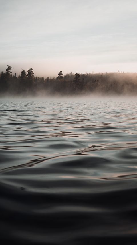 Download wallpaper 2160x3840 water, waves, fog, trees, twilight samsung galaxy s4, s5, note, sony xperia z, z1, z2, z3, htc one, lenovo vibe hd background