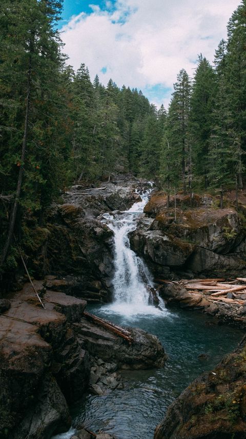 Download wallpaper 2160x3840 waterfall, rocks, trees, forest, landscape, nature samsung galaxy s4, s5, note, sony xperia z, z1, z2, z3, htc one, lenovo vibe hd background