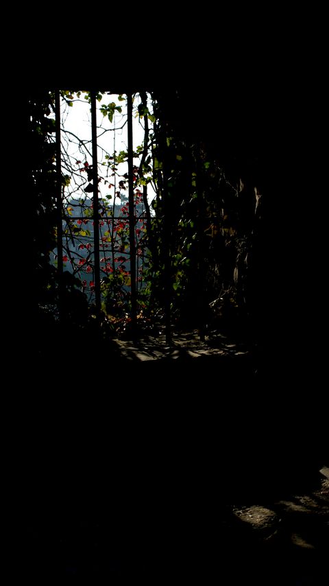 Download wallpaper 2160x3840 arch, leaves, branches, dark samsung galaxy s4, s5, note, sony xperia z, z1, z2, z3, htc one, lenovo vibe hd background