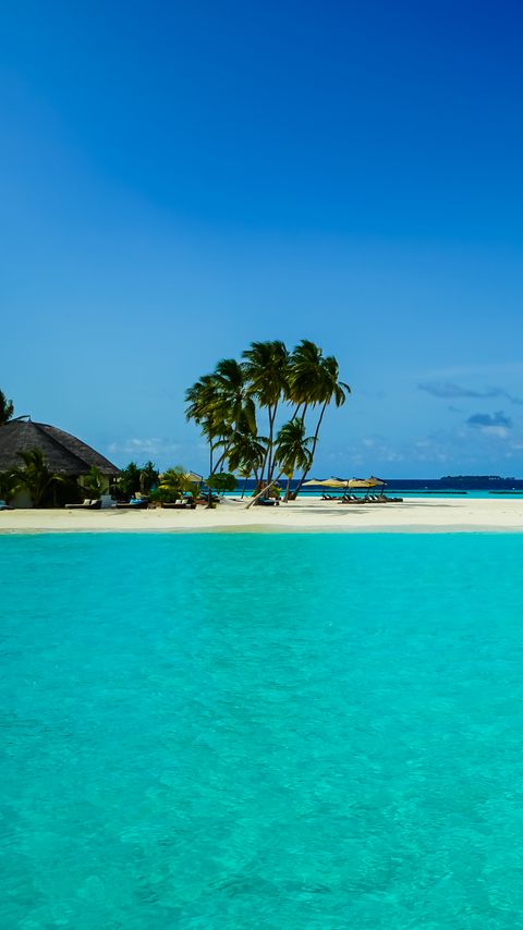 Download wallpaper 2160x3840 beach, palm trees, island, tropics, nature samsung galaxy s4, s5, note, sony xperia z, z1, z2, z3, htc one, lenovo vibe hd background