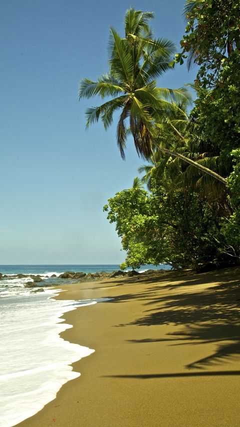 Download wallpaper 2160x3840 beach, sea, foam, palm trees, tropics samsung galaxy s4, s5, note, sony xperia z, z1, z2, z3, htc one, lenovo vibe hd background