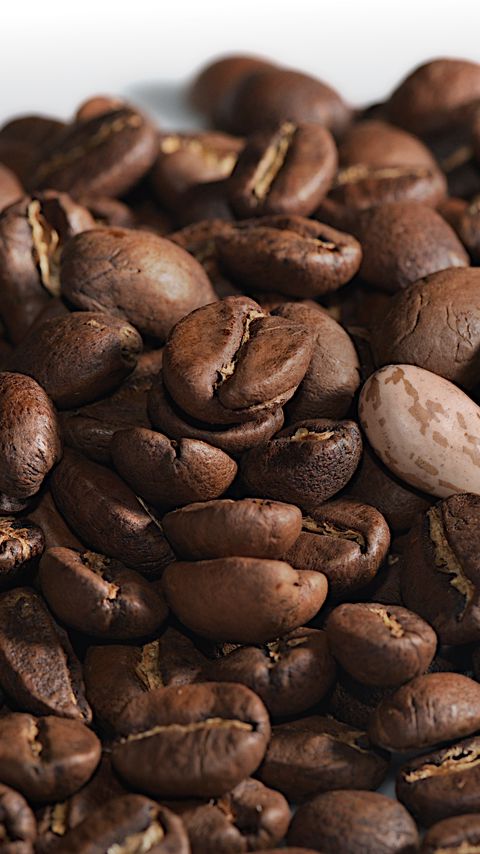Download wallpaper 2160x3840 beans, coffee, brown, macro samsung galaxy s4, s5, note, sony xperia z, z1, z2, z3, htc one, lenovo vibe hd background