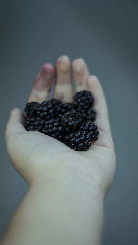 Download wallpaper 2160x3840 blackberries, berries, hand, food samsung galaxy s4, s5, note, sony xperia z, z1, z2, z3, htc one, lenovo vibe hd background