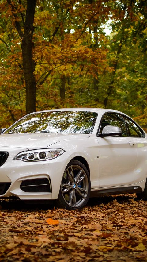 Download wallpaper 2160x3840 bmw m235, bmw, car, white, leaves, autumn samsung galaxy s4, s5, note, sony xperia z, z1, z2, z3, htc one, lenovo vibe hd background