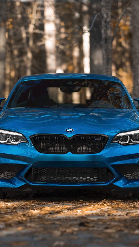 Download wallpaper 2160x3840 bmw m2, bmw, car, blue, front view samsung galaxy s4, s5, note, sony xperia z, z1, z2, z3, htc one, lenovo vibe hd background