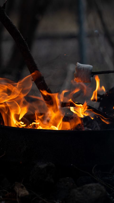 Download wallpaper 2160x3840 bonfire, marshmallow, fire, flame samsung galaxy s4, s5, note, sony xperia z, z1, z2, z3, htc one, lenovo vibe hd background