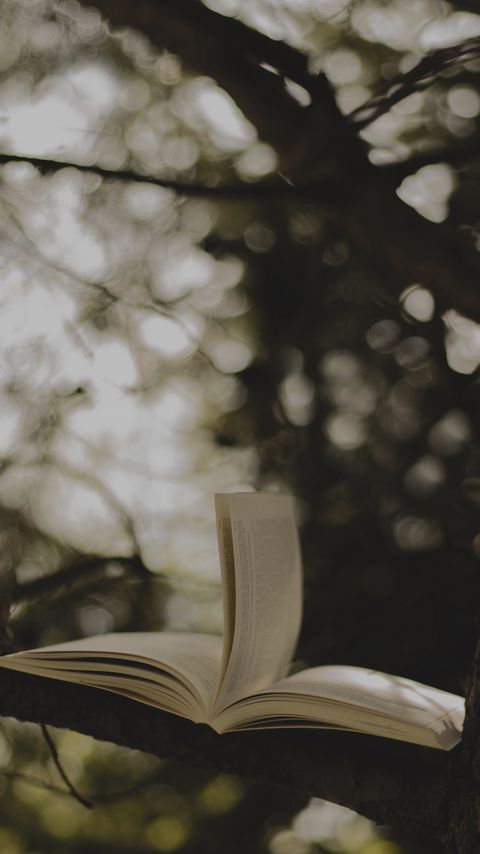 Download wallpaper 2160x3840 book, tree, branch, blur samsung galaxy s4, s5, note, sony xperia z, z1, z2, z3, htc one, lenovo vibe hd background