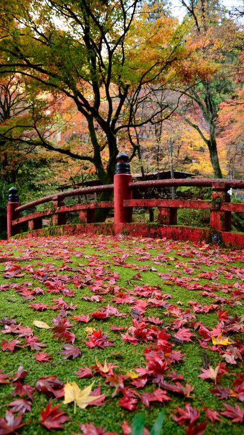 Download wallpaper 2160x3840 bridge, leaves, maple, autumn samsung galaxy s4, s5, note, sony xperia z, z1, z2, z3, htc one, lenovo vibe hd background