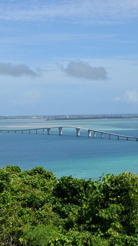 Download wallpaper 2160x3840 bridge, sea, water, trees samsung galaxy s4, s5, note, sony xperia z, z1, z2, z3, htc one, lenovo vibe hd background