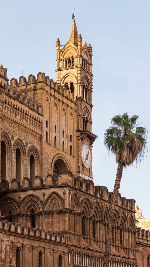 Download wallpaper 2160x3840 building, towers, clock, architecture, palm tree samsung galaxy s4, s5, note, sony xperia z, z1, z2, z3, htc one, lenovo vibe hd background