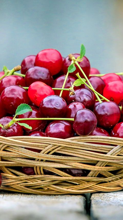 Download wallpaper 2160x3840 cherry, fruit, basket, food samsung galaxy s4, s5, note, sony xperia z, z1, z2, z3, htc one, lenovo vibe hd background