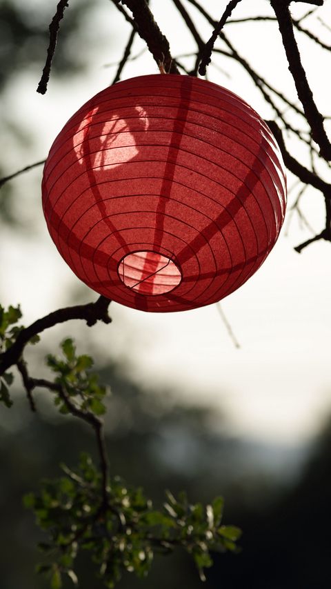 Download wallpaper 2160x3840 chinese lantern, branch, tree samsung galaxy s4, s5, note, sony xperia z, z1, z2, z3, htc one, lenovo vibe hd background