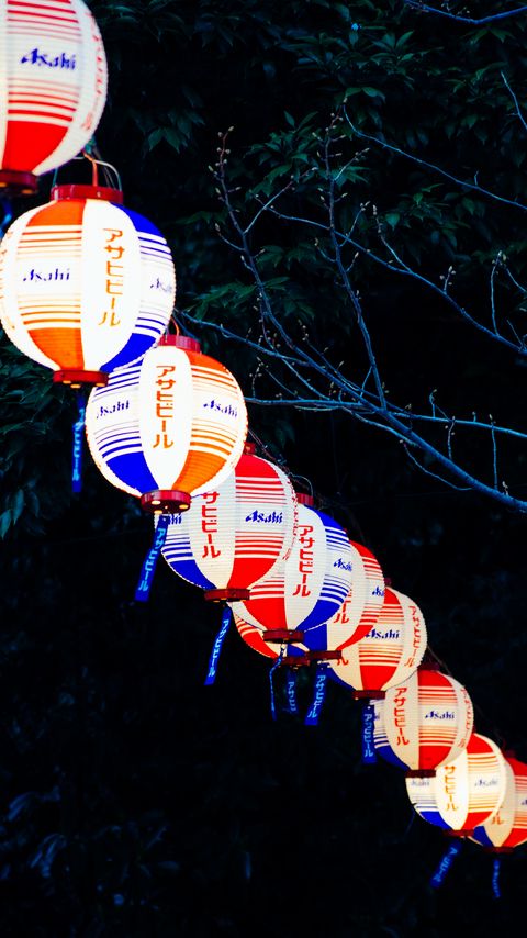 Download wallpaper 2160x3840 chinese lanterns, night, branches samsung galaxy s4, s5, note, sony xperia z, z1, z2, z3, htc one, lenovo vibe hd background