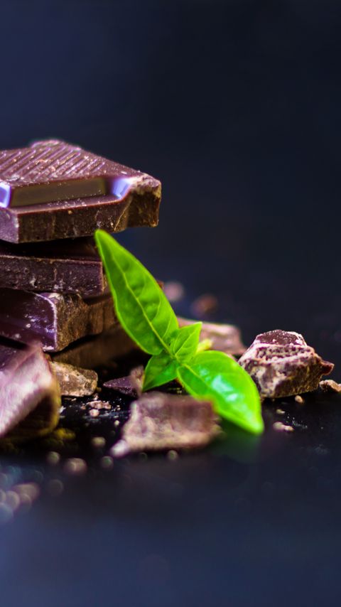 Download wallpaper 2160x3840 chocolate, leaves, dessert samsung galaxy s4, s5, note, sony xperia z, z1, z2, z3, htc one, lenovo vibe hd background