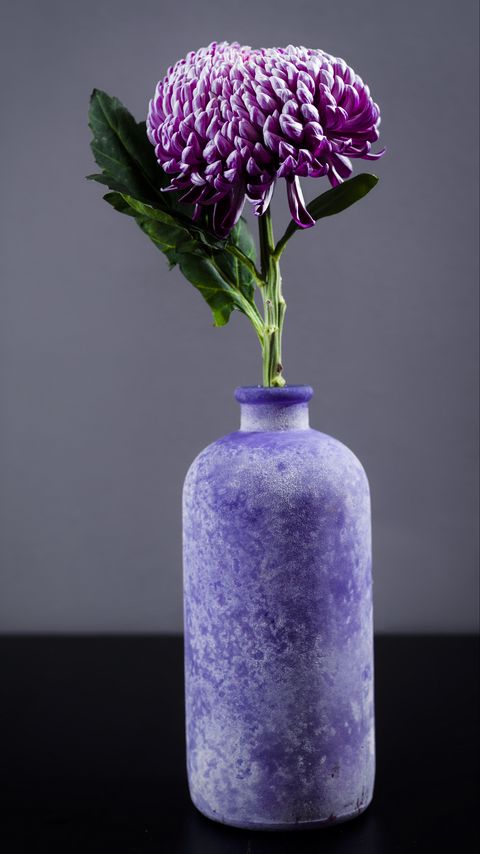 Download wallpaper 2160x3840 chrysanthemum, flower, vase, purple samsung galaxy s4, s5, note, sony xperia z, z1, z2, z3, htc one, lenovo vibe hd background