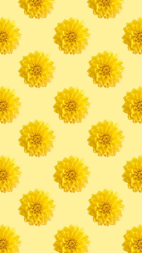 Download wallpaper 2160x3840 chrysanthemums, flowers, pattern, texture, yellow samsung galaxy s4, s5, note, sony xperia z, z1, z2, z3, htc one, lenovo vibe hd background