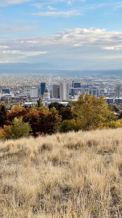 Download wallpaper 2160x3840 city, nature, view, grass, trees samsung galaxy s4, s5, note, sony xperia z, z1, z2, z3, htc one, lenovo vibe hd background