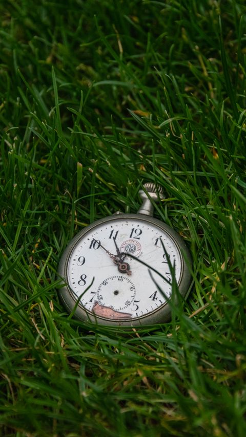 Download wallpaper 2160x3840 clock, clock face, time, grass samsung galaxy s4, s5, note, sony xperia z, z1, z2, z3, htc one, lenovo vibe hd background