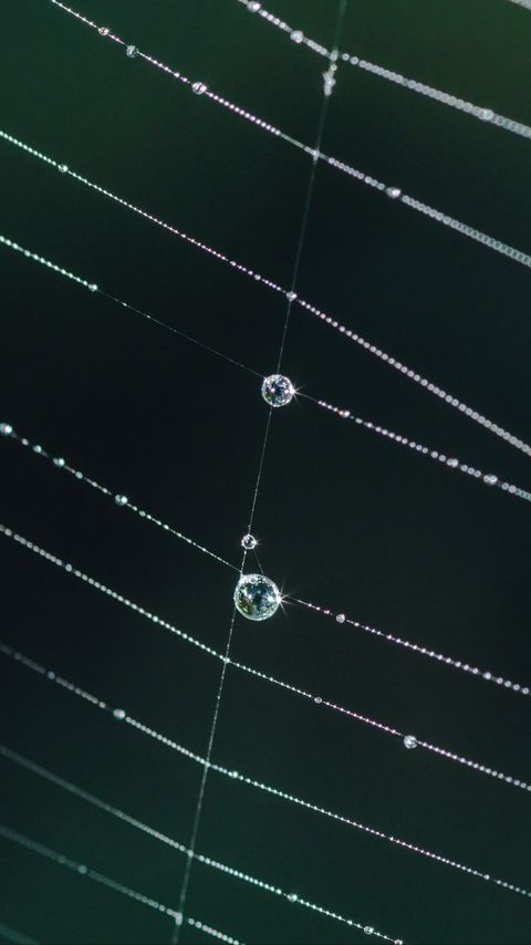 Download wallpaper 2160x3840 cobweb, drops, glare, macro, green samsung galaxy s4, s5, note, sony xperia z, z1, z2, z3, htc one, lenovo vibe hd background
