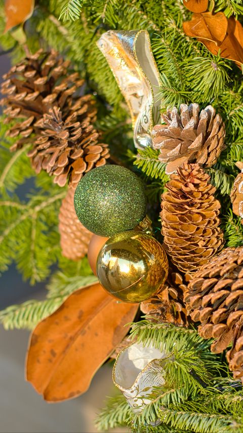 Download wallpaper 2160x3840 cones, balls, branches, needles, new year, christmas samsung galaxy s4, s5, note, sony xperia z, z1, z2, z3, htc one, lenovo vibe hd background