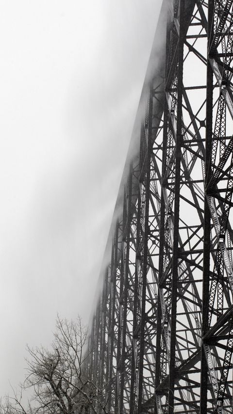 Download wallpaper 2160x3840 construction, tree, branches, fog, black and white samsung galaxy s4, s5, note, sony xperia z, z1, z2, z3, htc one, lenovo vibe hd background