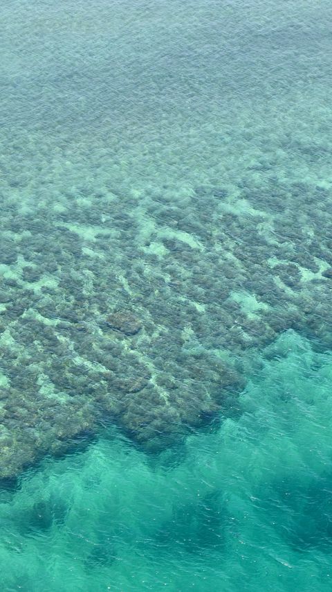 Download wallpaper 2160x3840 coral reefs, reefs, ocean, bottom samsung galaxy s4, s5, note, sony xperia z, z1, z2, z3, htc one, lenovo vibe hd background