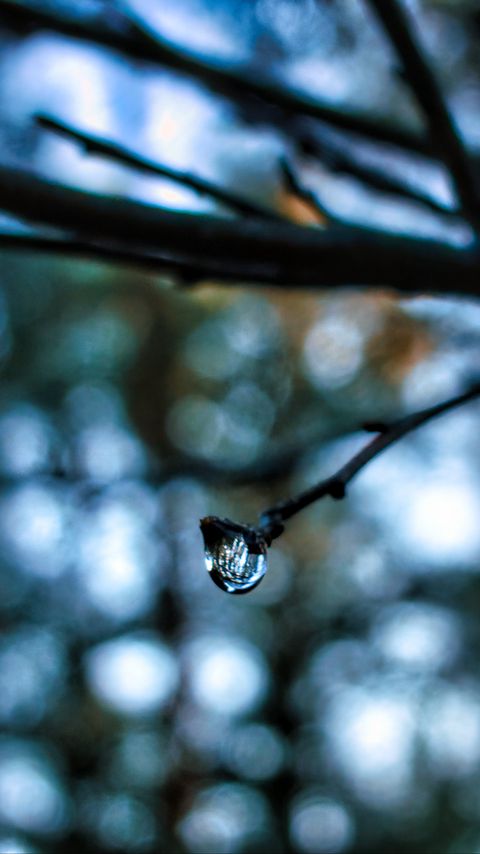 Download wallpaper 2160x3840 drop, water, branch, blur, macro samsung galaxy s4, s5, note, sony xperia z, z1, z2, z3, htc one, lenovo vibe hd background