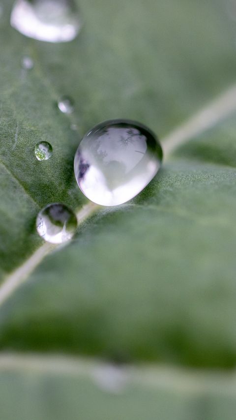 Download wallpaper 2160x3840 drops, water, leaf, macro, reflection samsung galaxy s4, s5, note, sony xperia z, z1, z2, z3, htc one, lenovo vibe hd background