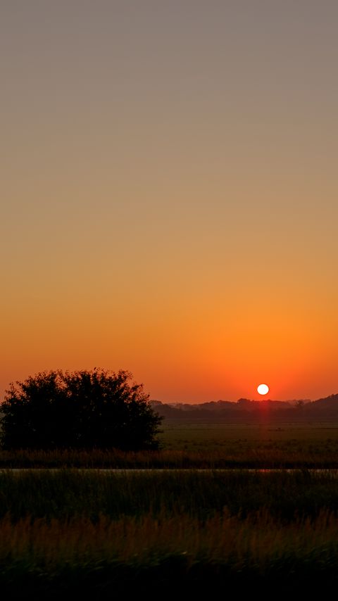 Download wallpaper 2160x3840 field, bush, twilight, grass samsung galaxy s4, s5, note, sony xperia z, z1, z2, z3, htc one, lenovo vibe hd background