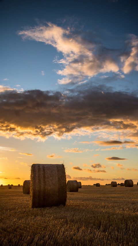 Download wallpaper 2160x3840 field, hay, horizon, sunset samsung galaxy s4, s5, note, sony xperia z, z1, z2, z3, htc one, lenovo vibe hd background