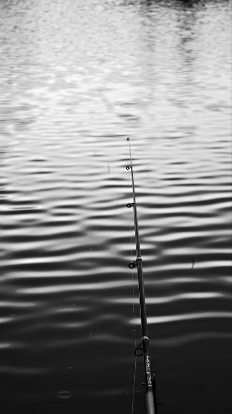 Download wallpaper 2160x3840 fishing rod, water, fishing, ripples, minimalism, black and white samsung galaxy s4, s5, note, sony xperia z, z1, z2, z3, htc one, lenovo vibe hd background