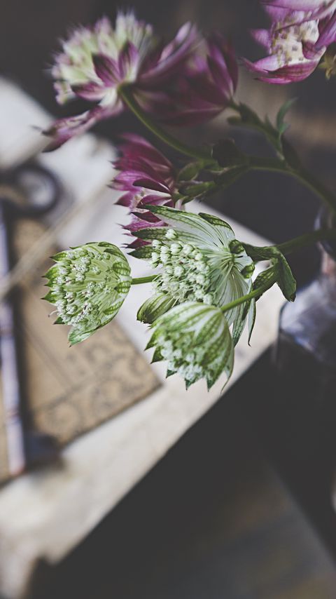 Download wallpaper 2160x3840 flowers, bouquet, blur samsung galaxy s4, s5, note, sony xperia z, z1, z2, z3, htc one, lenovo vibe hd background
