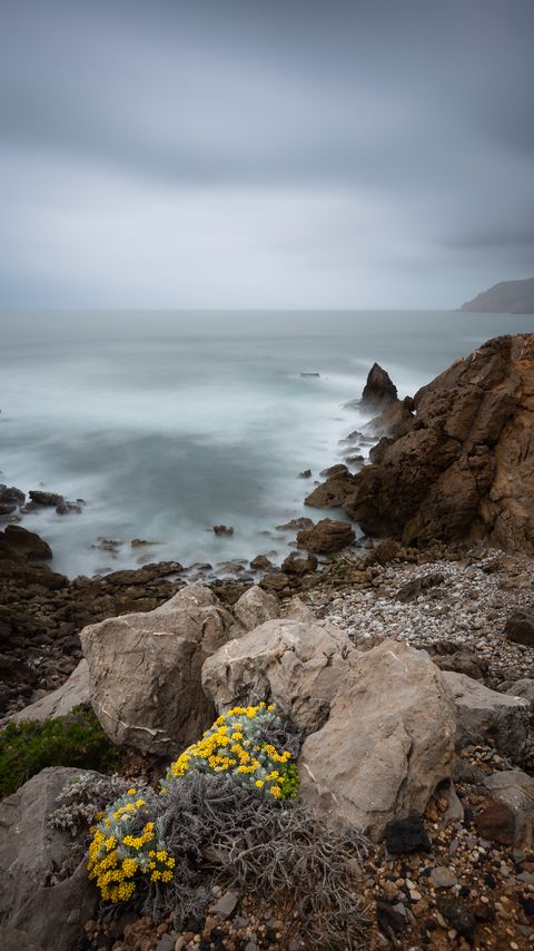 Download wallpaper 2160x3840 flowers, stones, slope, sea samsung galaxy s4, s5, note, sony xperia z, z1, z2, z3, htc one, lenovo vibe hd background